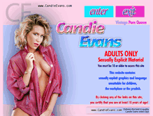 Tablet Screenshot of candyevans.com